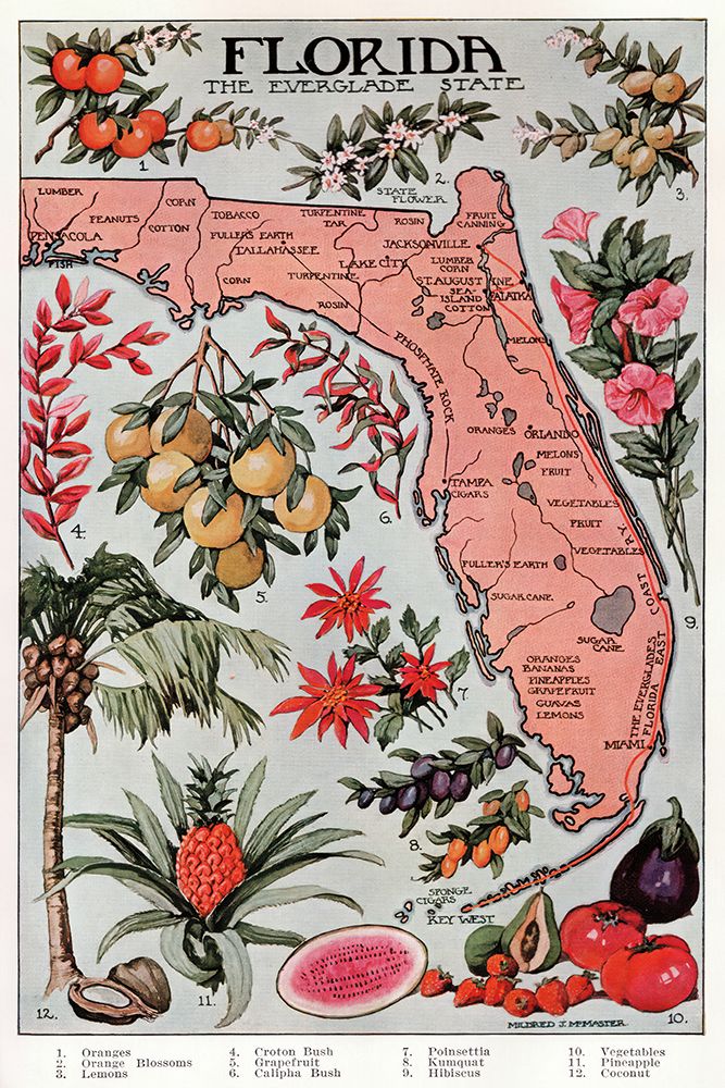 Vintage Florida Botanical Map art print by Wild Apple Portfolio-Public Domain for $57.95 CAD