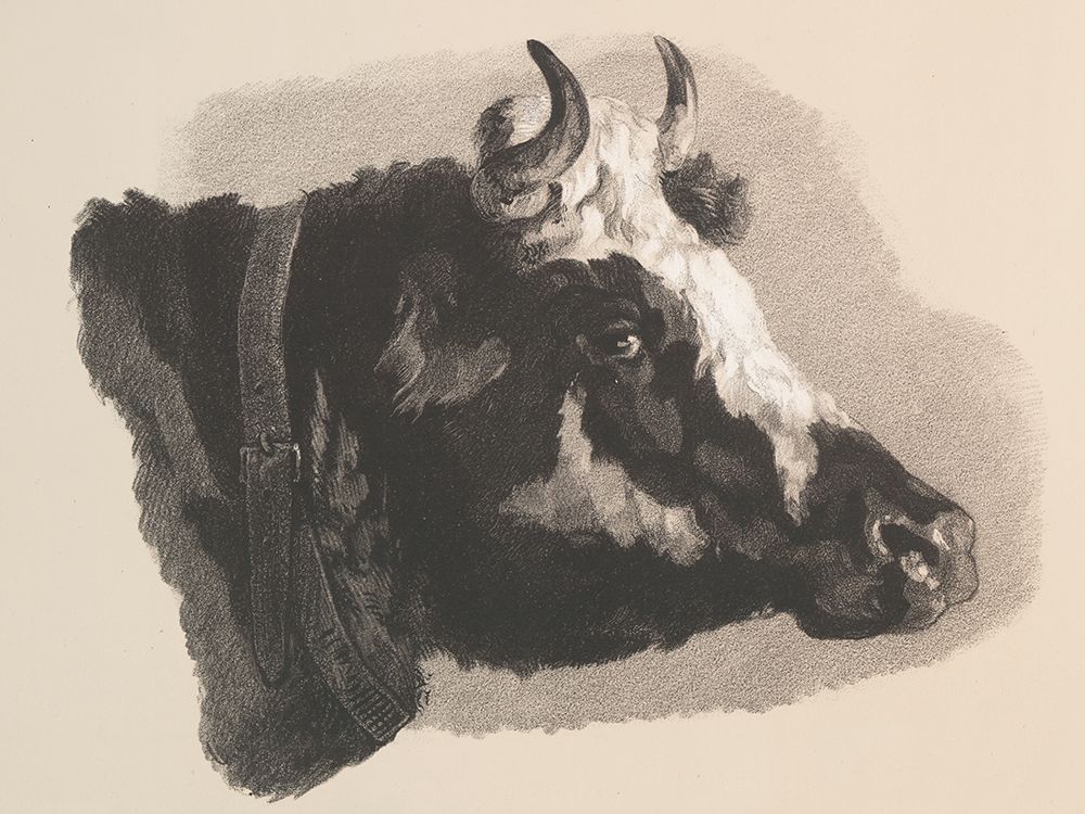 Farm Sketch II art print by Wild Apple Portfolio for $57.95 CAD