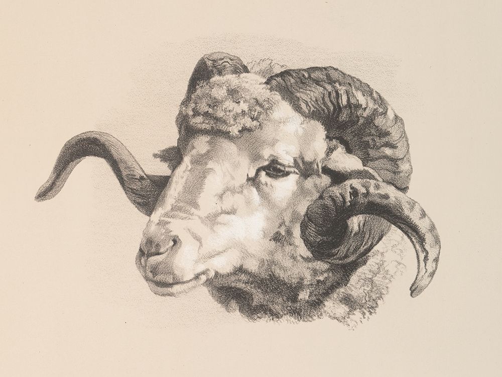 Farm Sketch V art print by Wild Apple Portfolio for $57.95 CAD