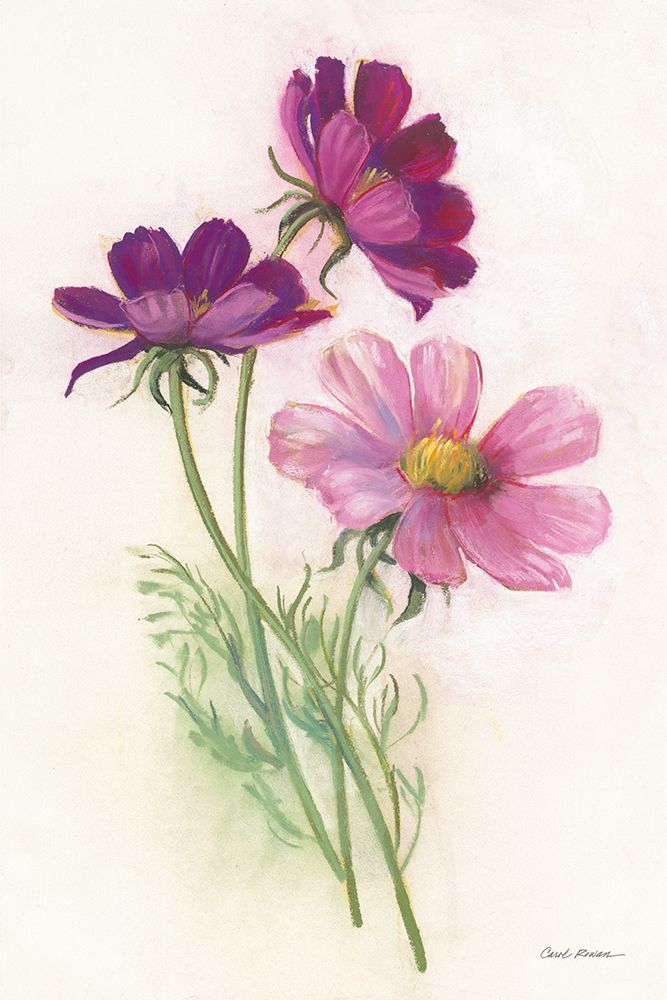 Purple Cosmos art print by Carol Rowan for $57.95 CAD