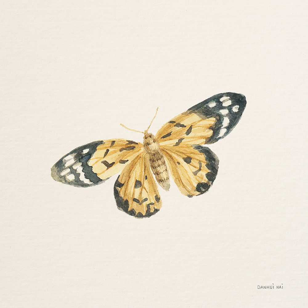 Honeybloom Butterfly II art print by Danhui Nai for $57.95 CAD