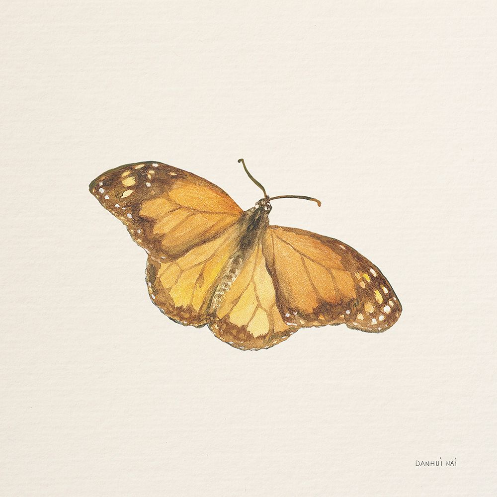 Honeybloom Butterfly III art print by Danhui Nai for $57.95 CAD
