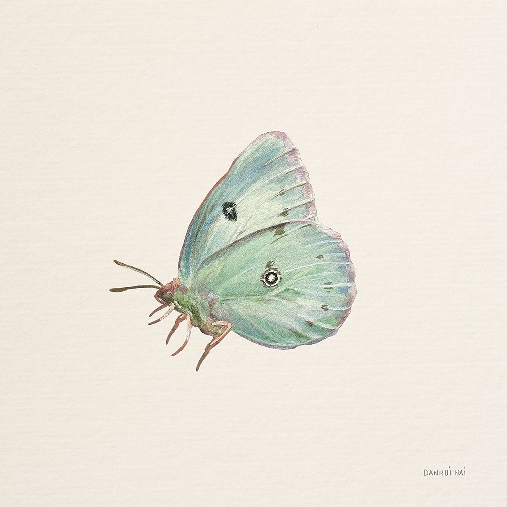 Honeybloom Butterfly IV art print by Danhui Nai for $57.95 CAD