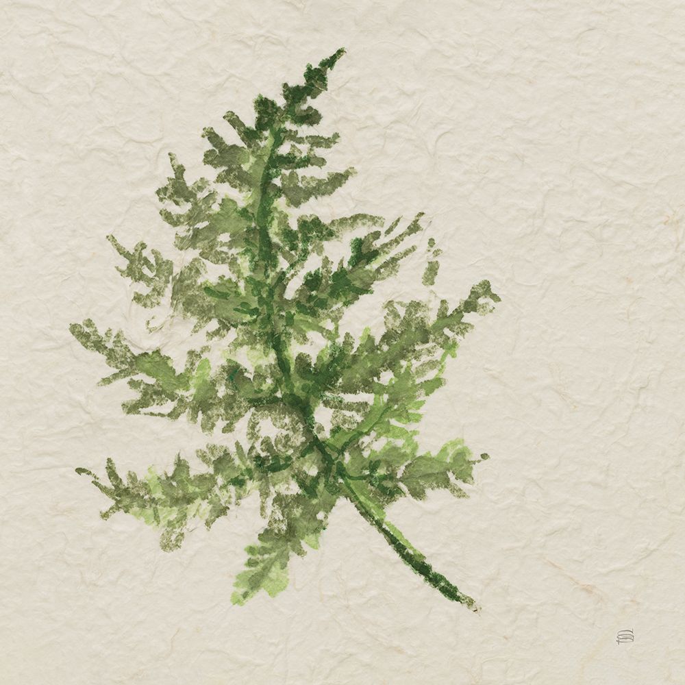 Kozo Fern I art print by Chris Paschke for $57.95 CAD
