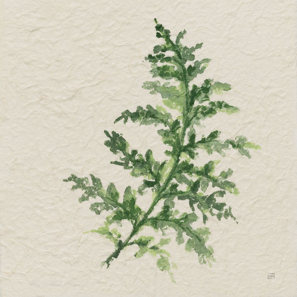 Kozo Fern II art print by Chris Paschke for $57.95 CAD