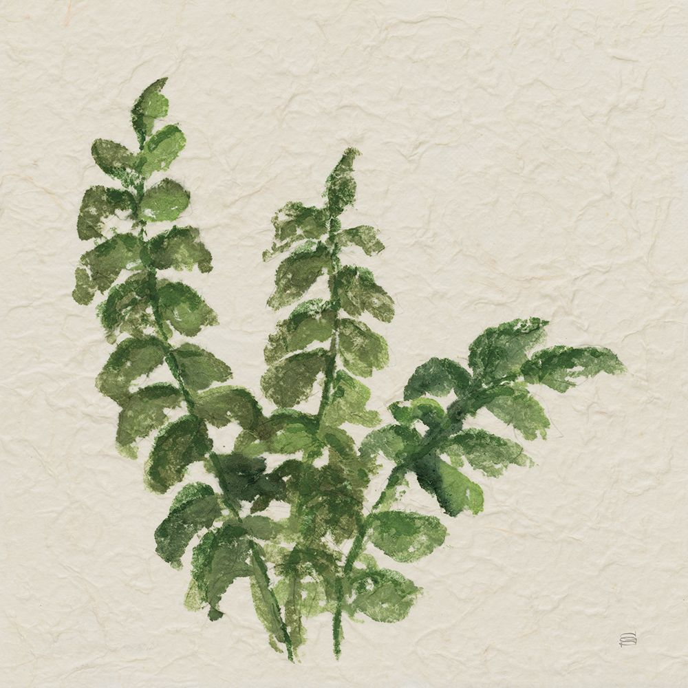 Kozo Fern IV art print by Chris Paschke for $57.95 CAD