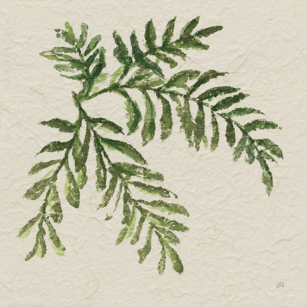 Kozo Fern V art print by Chris Paschke for $57.95 CAD