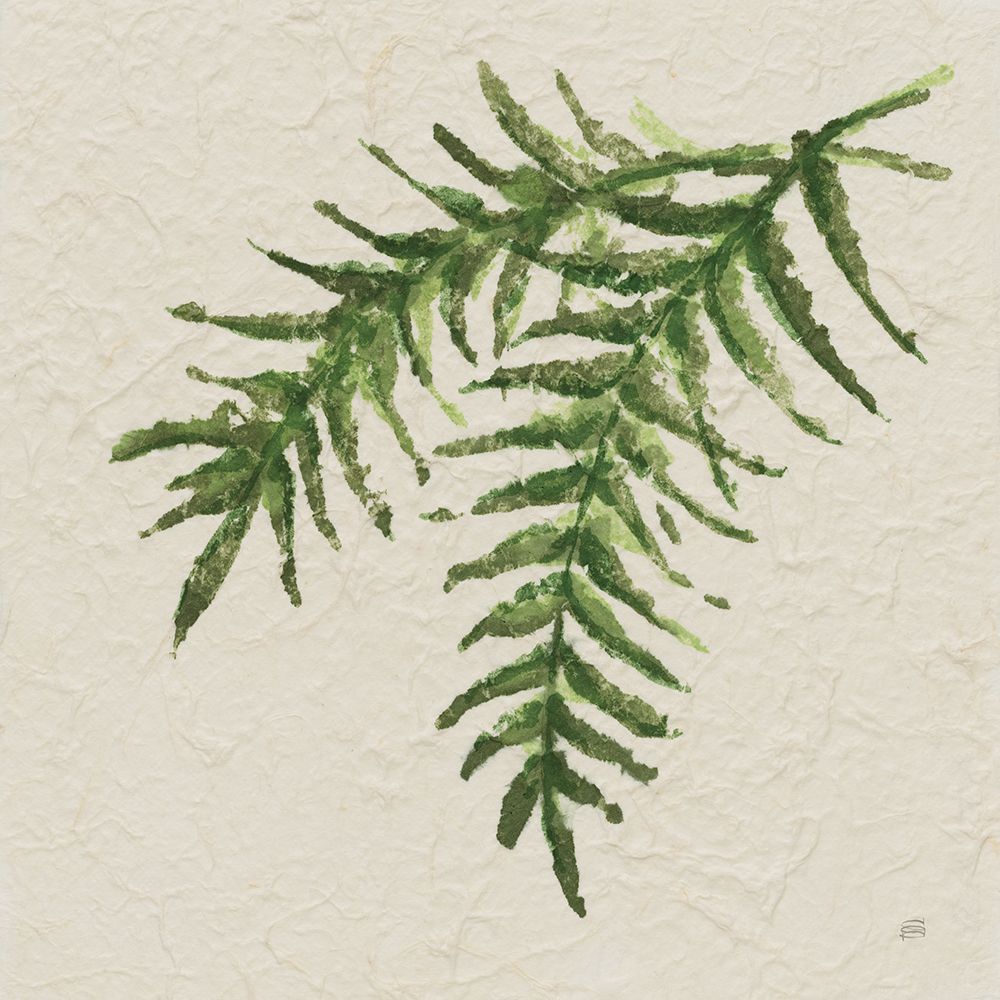 Kozo Fern VI art print by Chris Paschke for $57.95 CAD