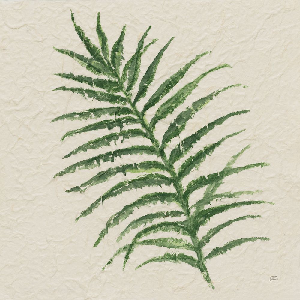 Kozo Fern VII art print by Chris Paschke for $57.95 CAD