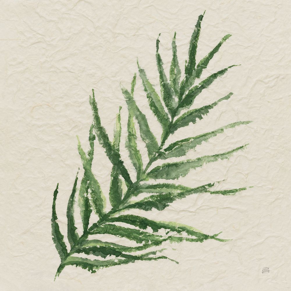Kozo Fern VIII art print by Chris Paschke for $57.95 CAD
