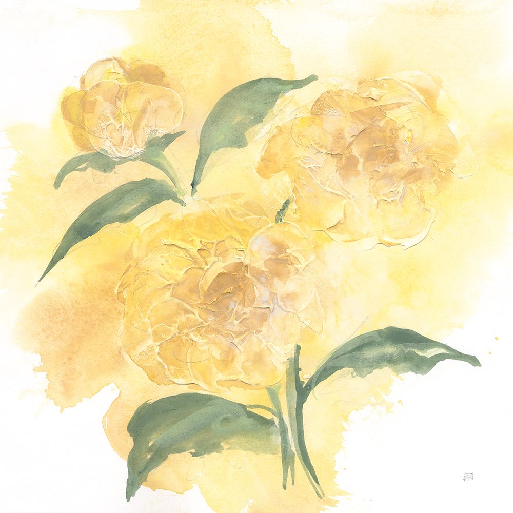 Dimensional Peony I art print by Chris Paschke for $57.95 CAD