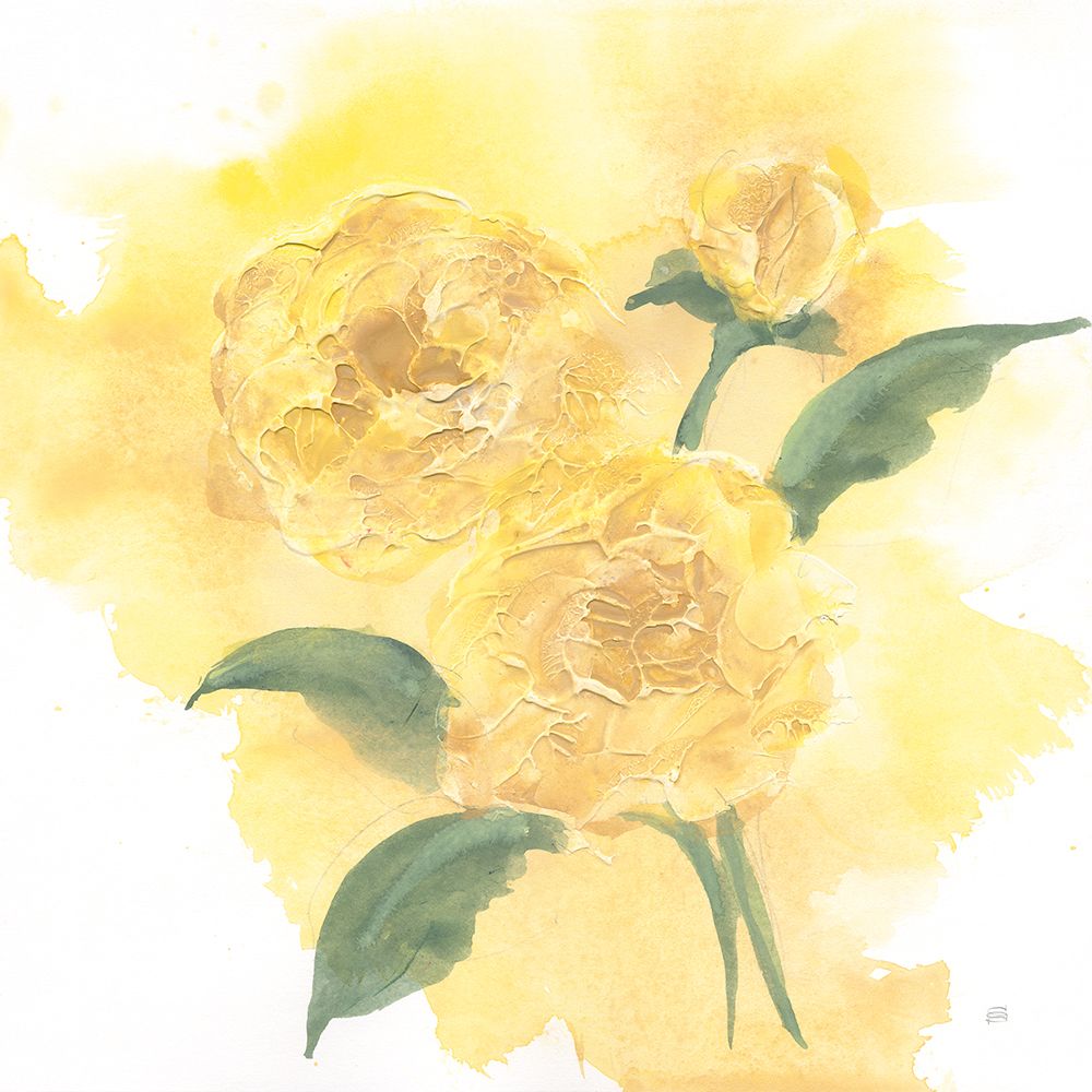 Dimensional Peony II art print by Chris Paschke for $57.95 CAD