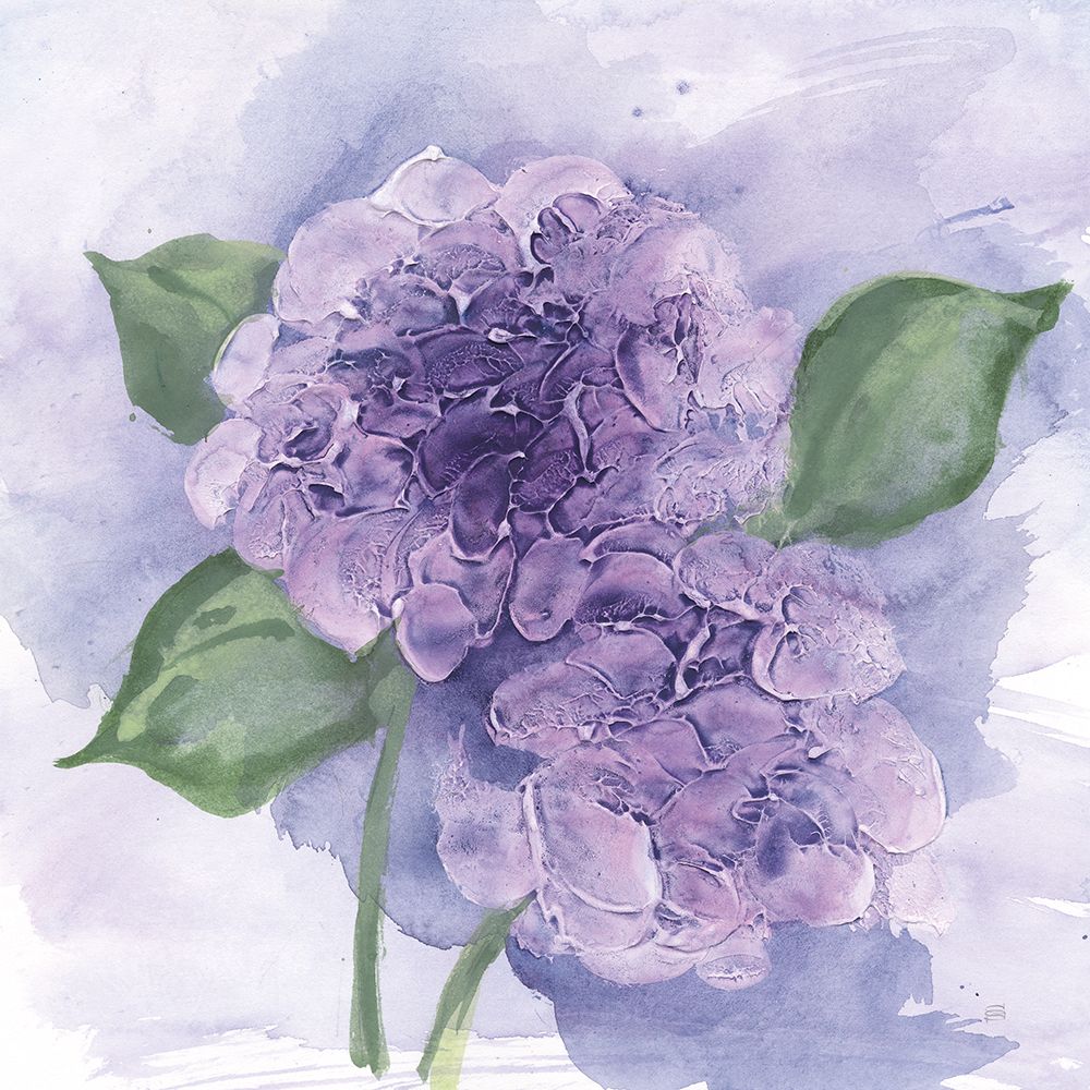 Dimensional Hydrangea I art print by Chris Paschke for $57.95 CAD