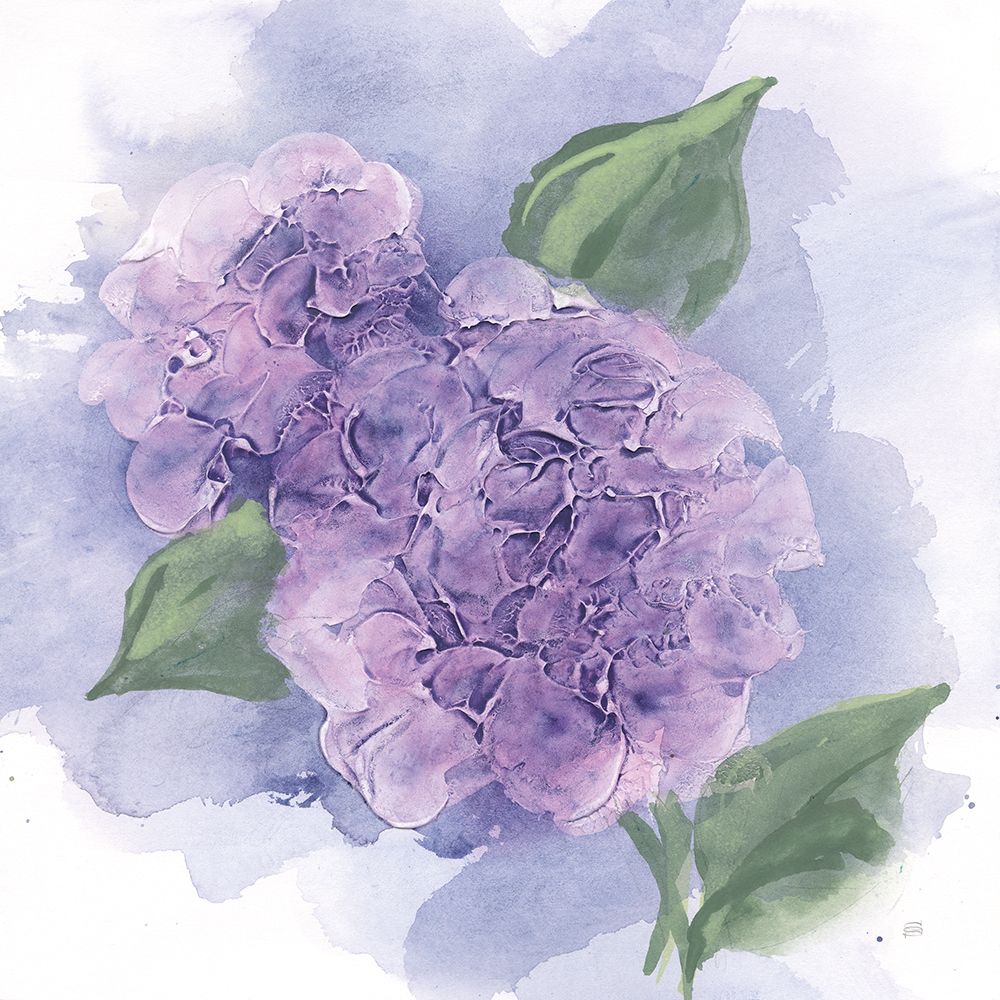 Dimensional Hydrangea II art print by Chris Paschke for $57.95 CAD