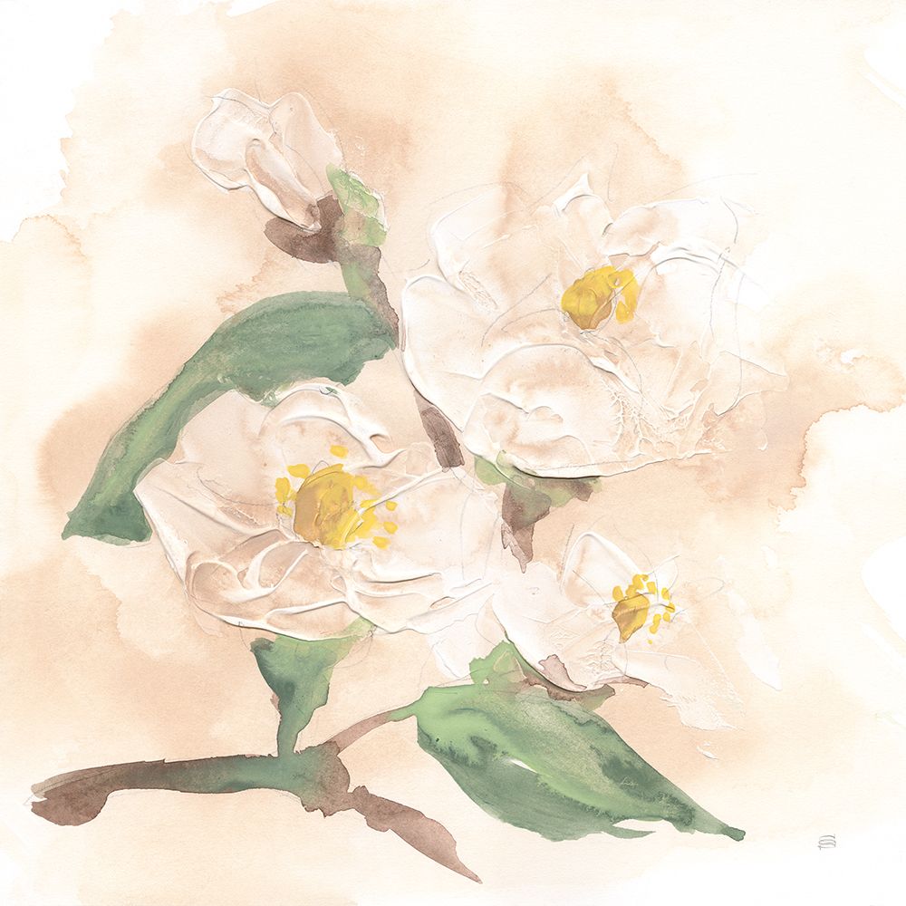 Dimensional Magnolia I art print by Chris Paschke for $57.95 CAD