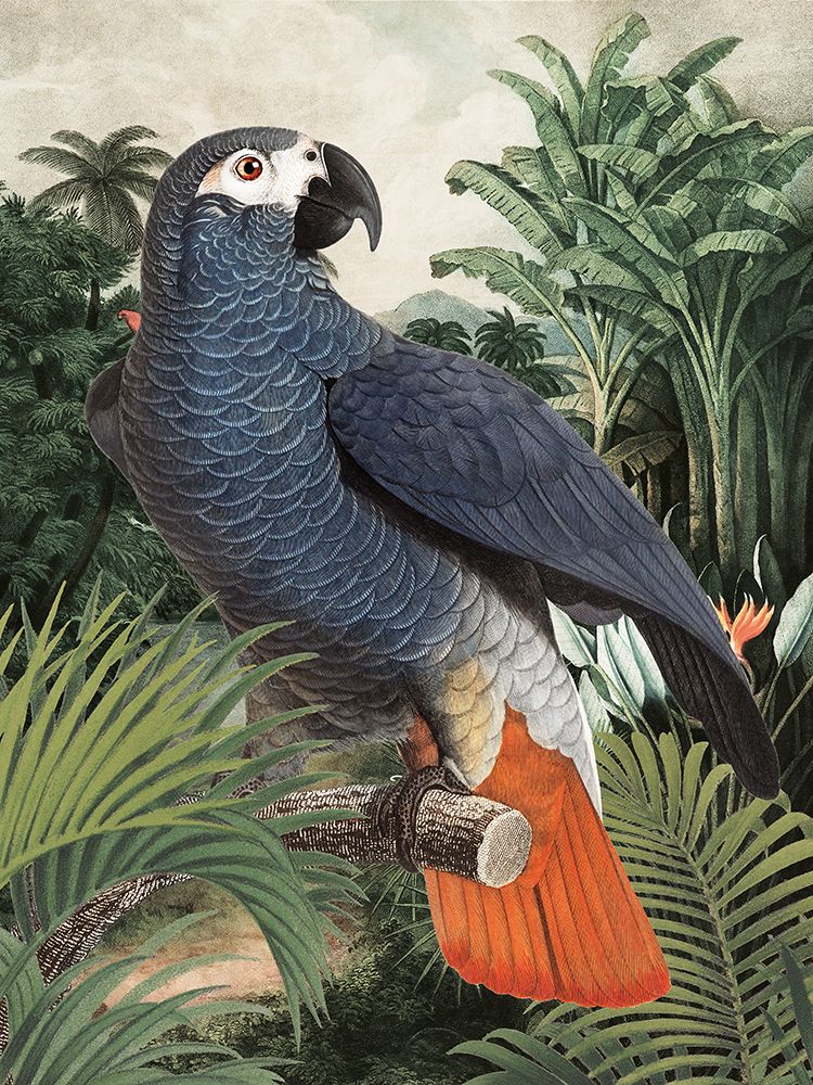 Jungle Parrot I art print by Wild Apple Portfolio for $57.95 CAD
