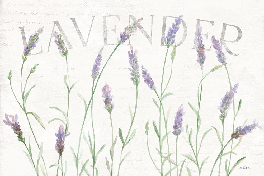 Lavender Fields I art print by Silvia Vassileva for $57.95 CAD