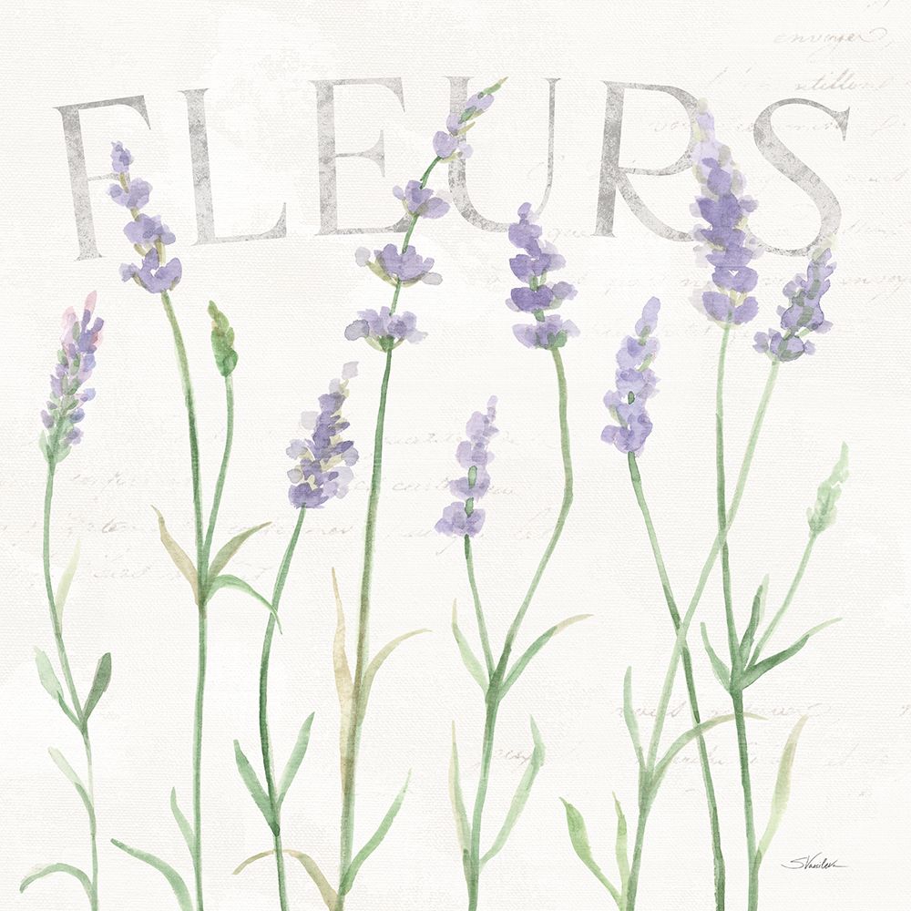 Lavender Fields II art print by Silvia Vassileva for $57.95 CAD