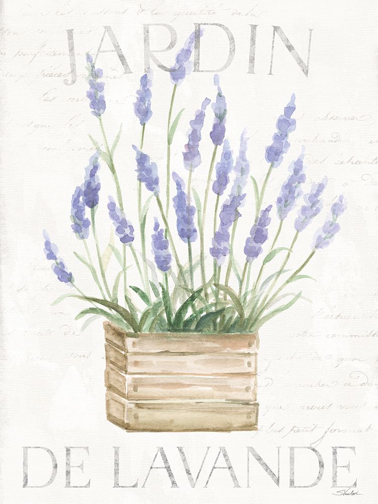 Lavender Fields VII art print by Silvia Vassileva for $57.95 CAD