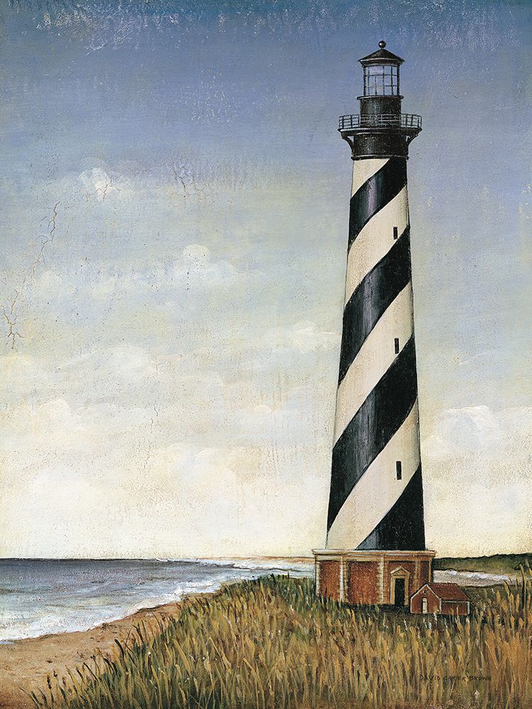 Coastal Light art print by David Carter Brown for $57.95 CAD