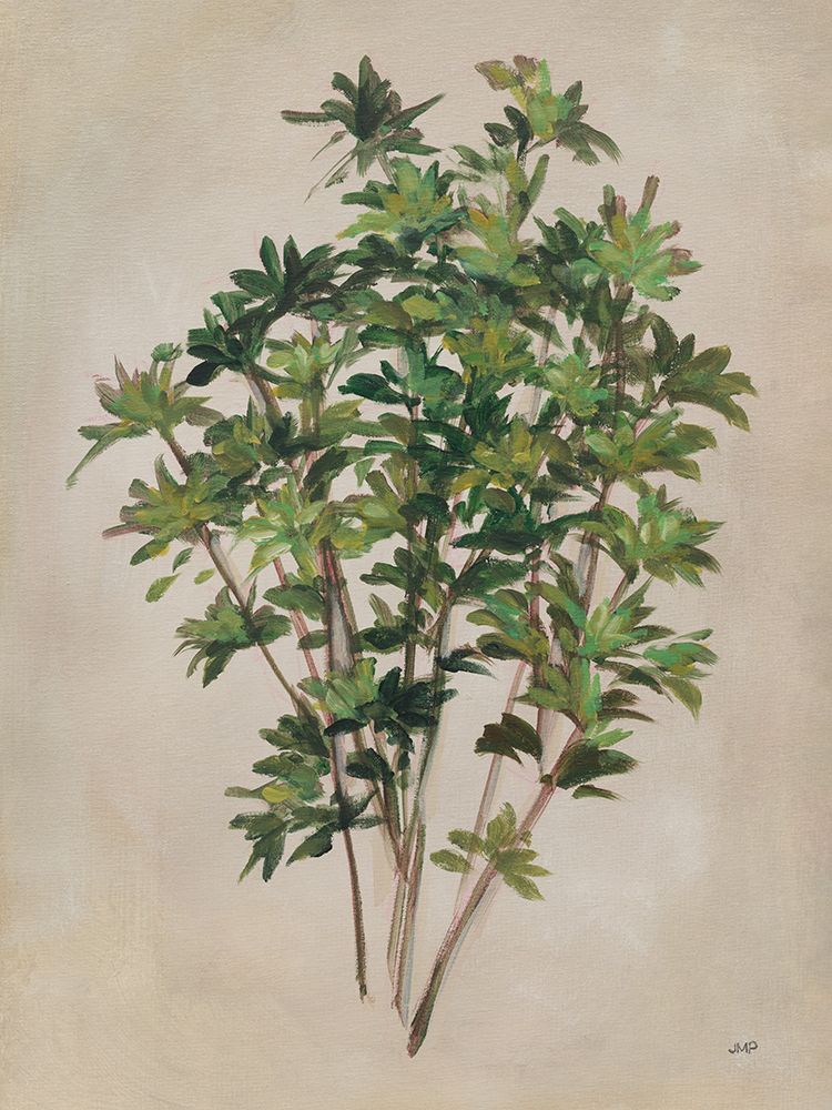 Herbal I art print by Julia Purinton for $57.95 CAD