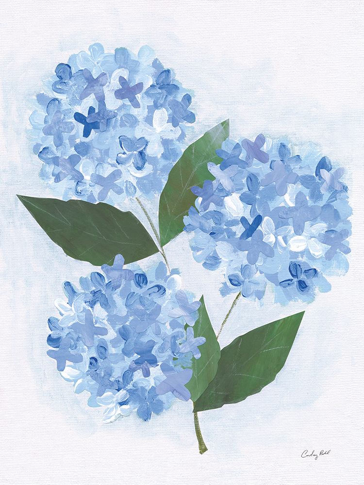 Providence Hydrangea I art print by Courtney Prahl for $57.95 CAD