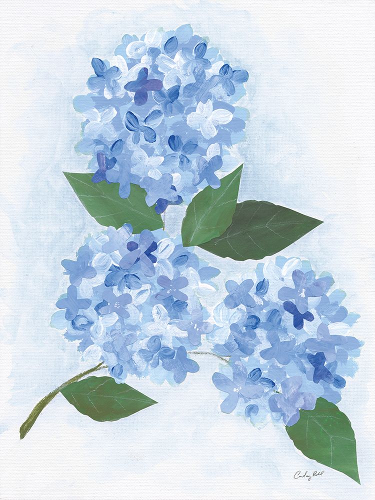 Providence Hydrangea II art print by Courtney Prahl for $57.95 CAD