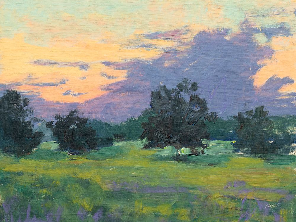 Sunset Fields art print by Carson Overstreet for $57.95 CAD