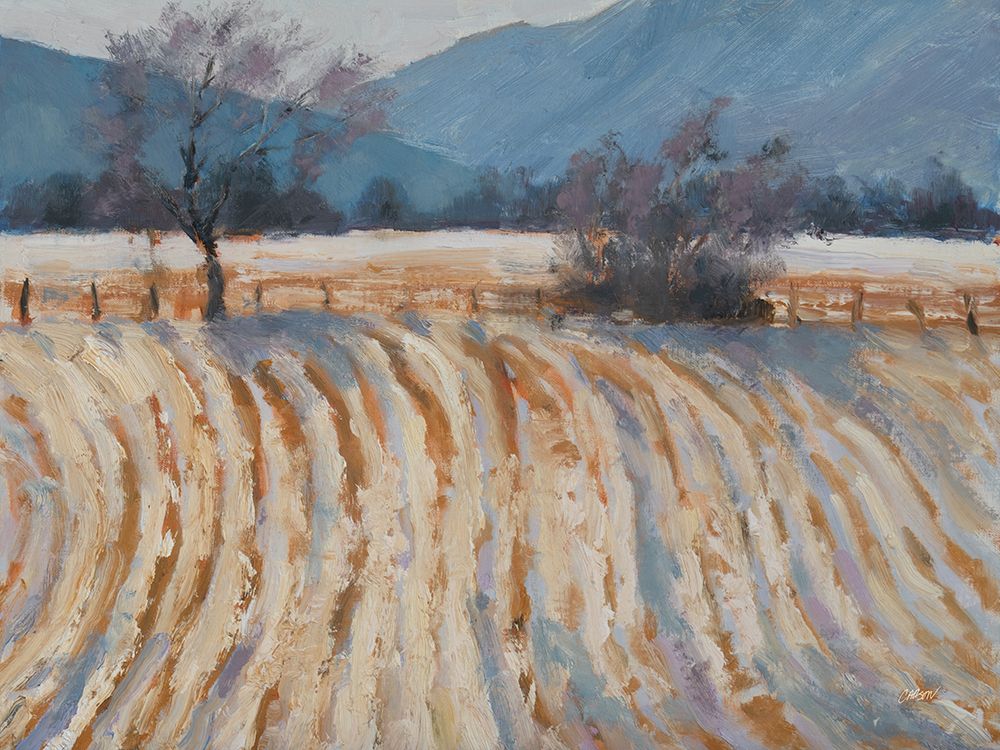 Valley Snowfall art print by Carson Overstreet for $57.95 CAD
