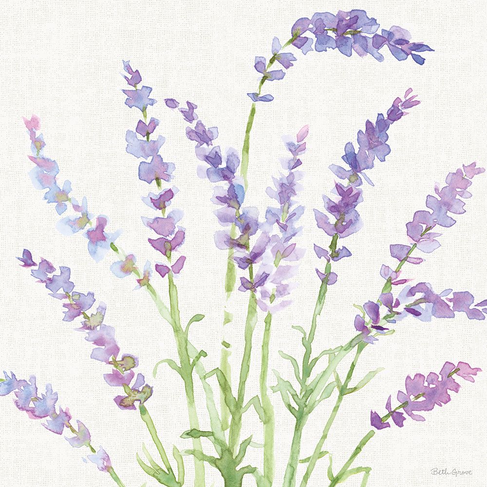 Fresh Floral VI art print by Beth Grove for $57.95 CAD