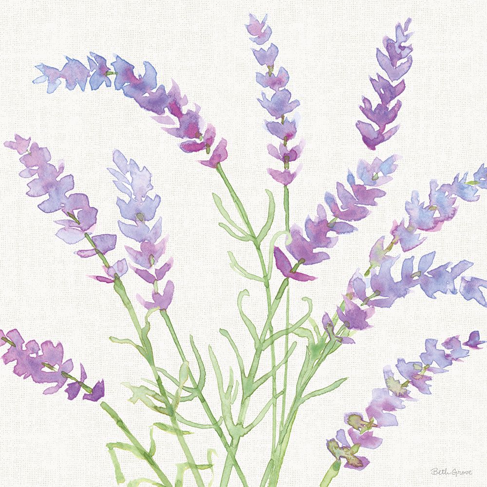 Fresh Floral VII art print by Beth Grove for $57.95 CAD