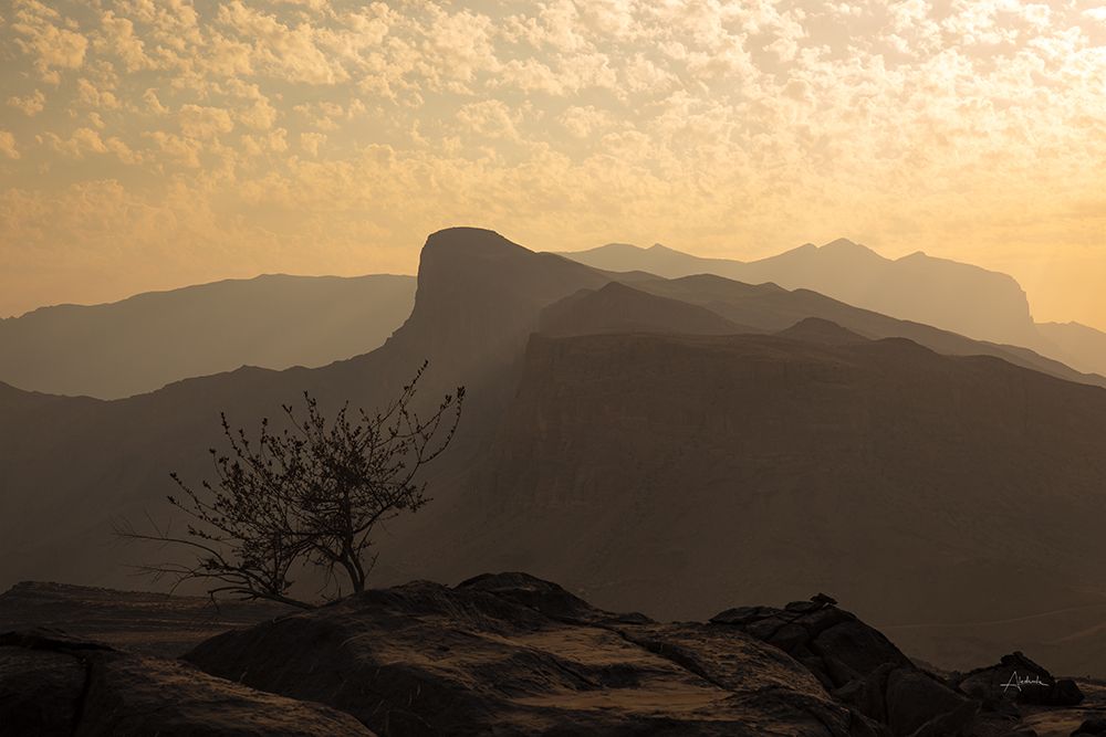 Desertscape art print by Aledanda for $57.95 CAD