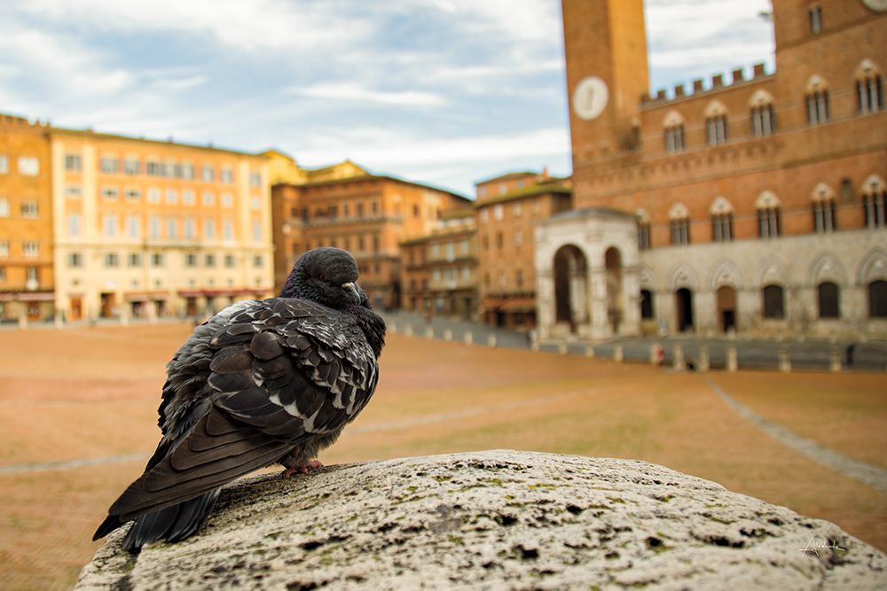 Piazza art print by Aledanda for $57.95 CAD