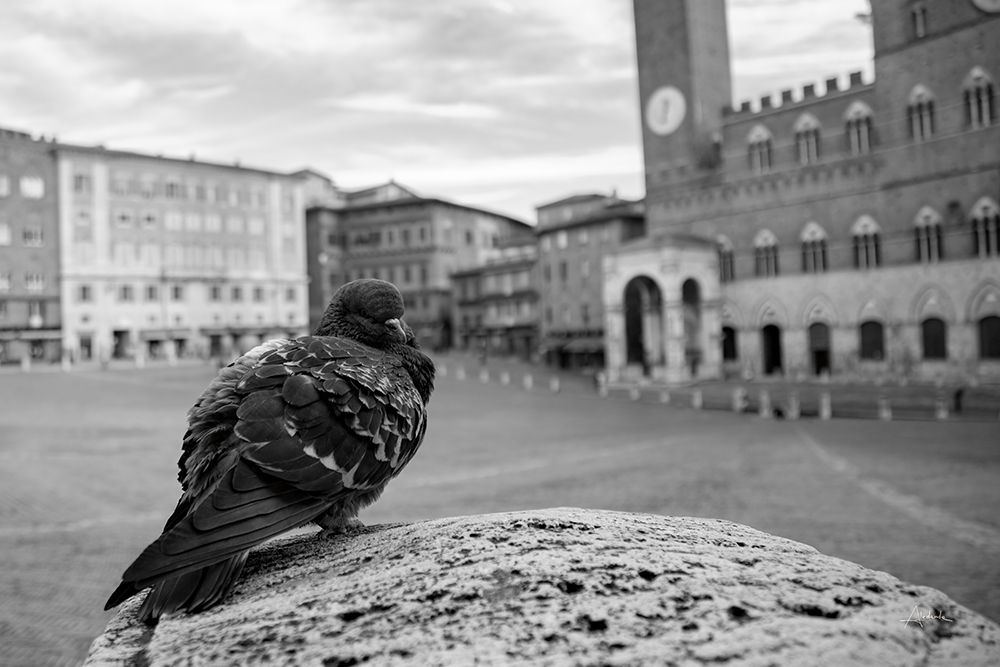 Piazza BW art print by Aledanda for $57.95 CAD