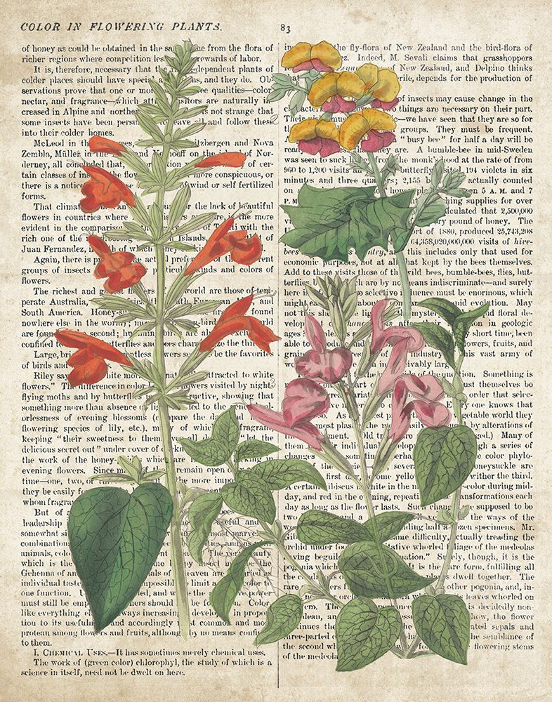 Salvia Florals on Newsprint I art print by Wild Apple Portfolio for $57.95 CAD