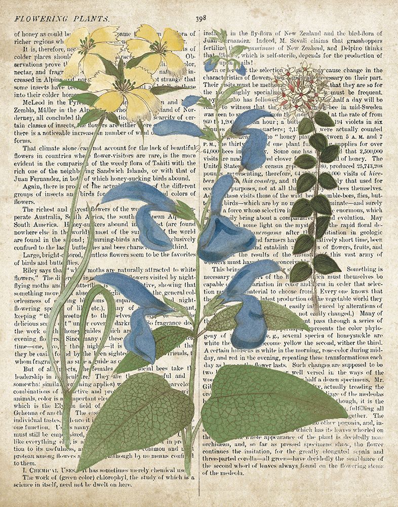 Salvia Florals on Newsprint II art print by Wild Apple Portfolio for $57.95 CAD