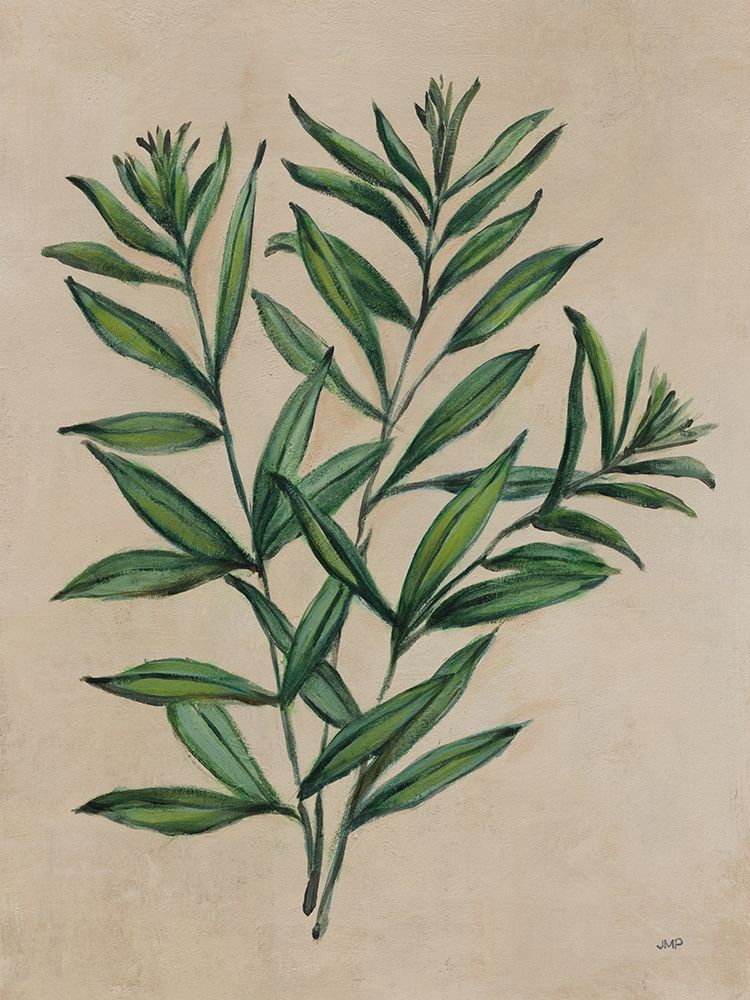 Herbal IV art print by Julia Purinton for $57.95 CAD