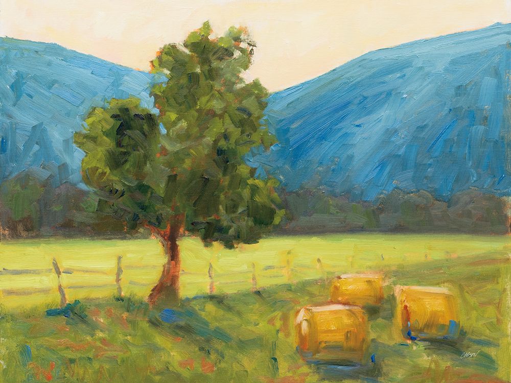 Blue Ridge Hay Bales art print by Carson Overstreet for $57.95 CAD