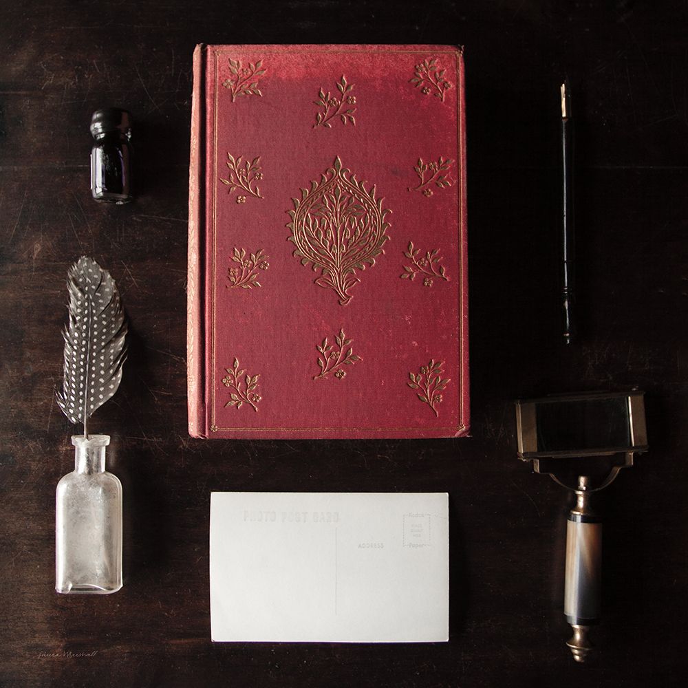 Quiet Study III art print by Laura Marshall for $57.95 CAD