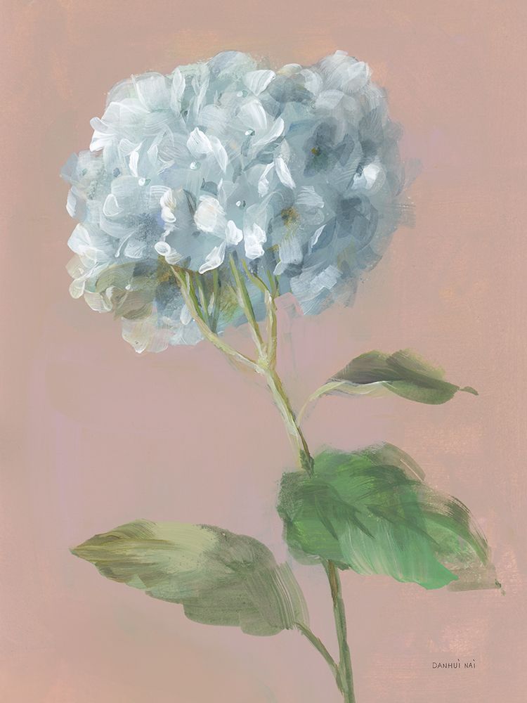 Hydrangea over dusty pink II art print by Danhui Nai for $57.95 CAD