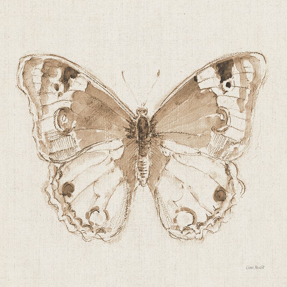 A Blue Note Butterfly I art print by Lisa Audit for $57.95 CAD