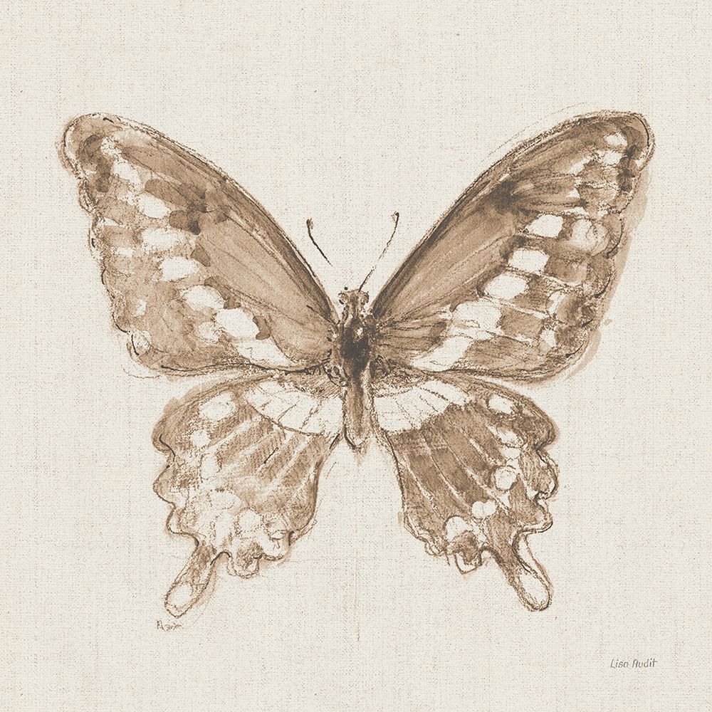 A Blue Note Butterfly II art print by Lisa Audit for $57.95 CAD