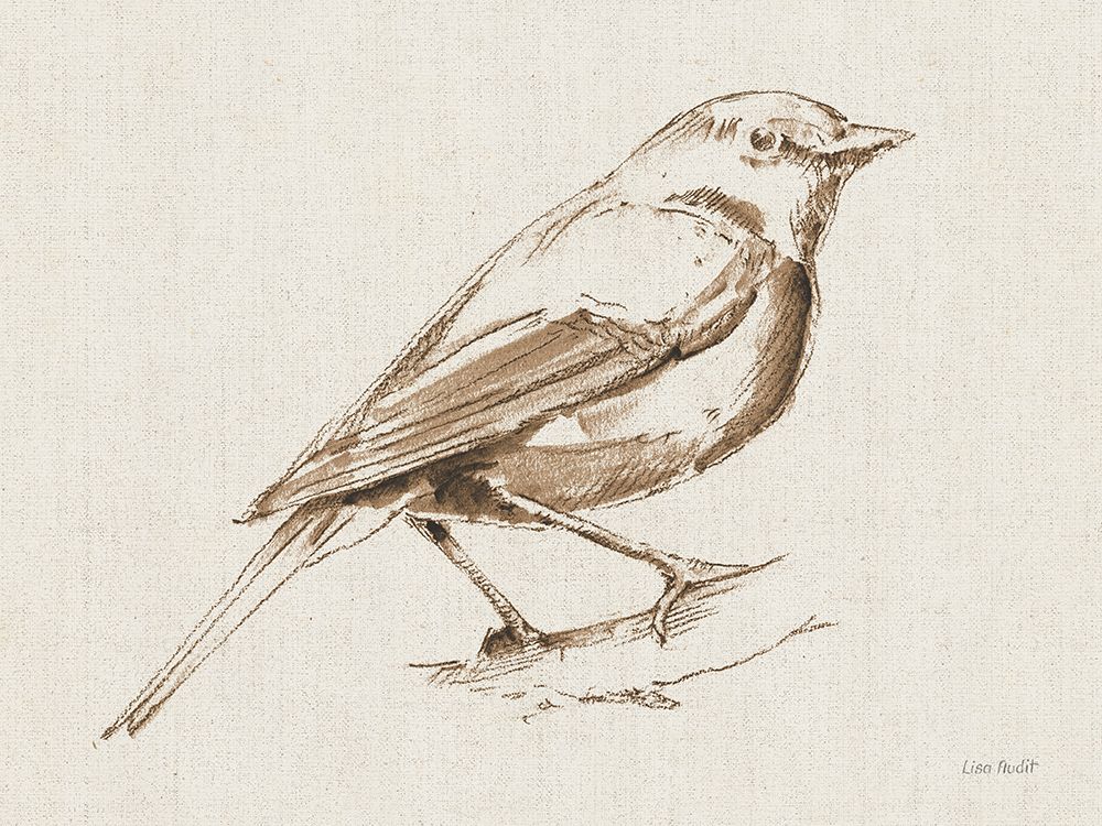 A Blue Note Bird I art print by Lisa Audit for $57.95 CAD