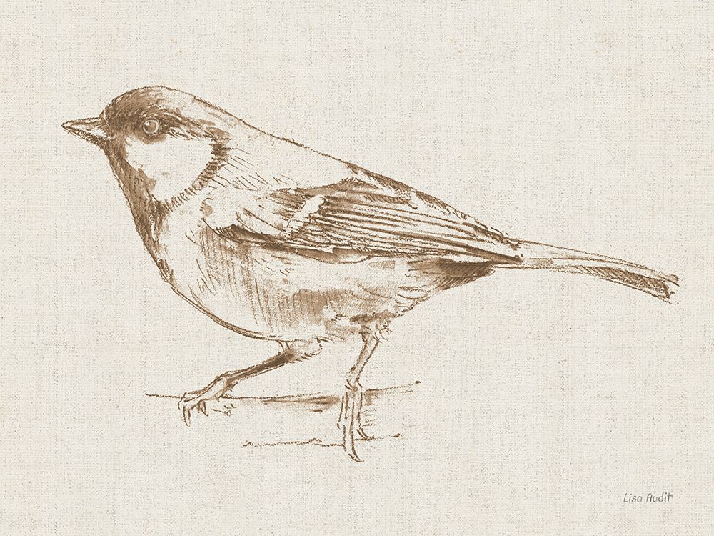 A Blue Note Bird II art print by Lisa Audit for $57.95 CAD