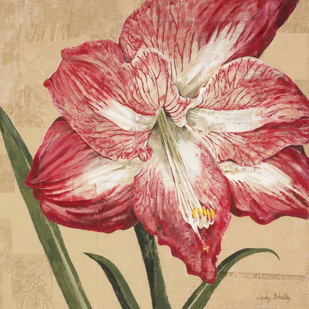 Blooming Wonder I art print by Judy Shelby for $57.95 CAD