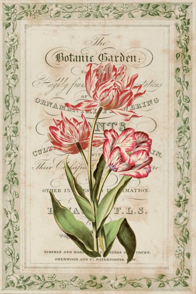 Botanic Garden art print by Zachary Alexander for $57.95 CAD