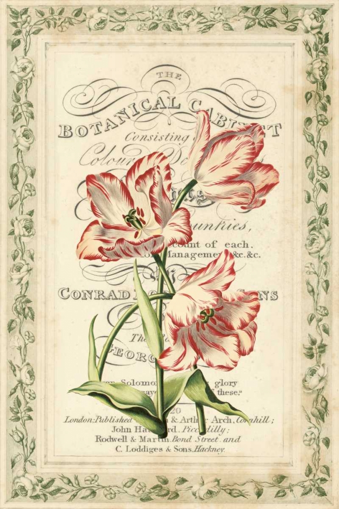 Botanic Cabinet art print by Zachary Alexander for $57.95 CAD