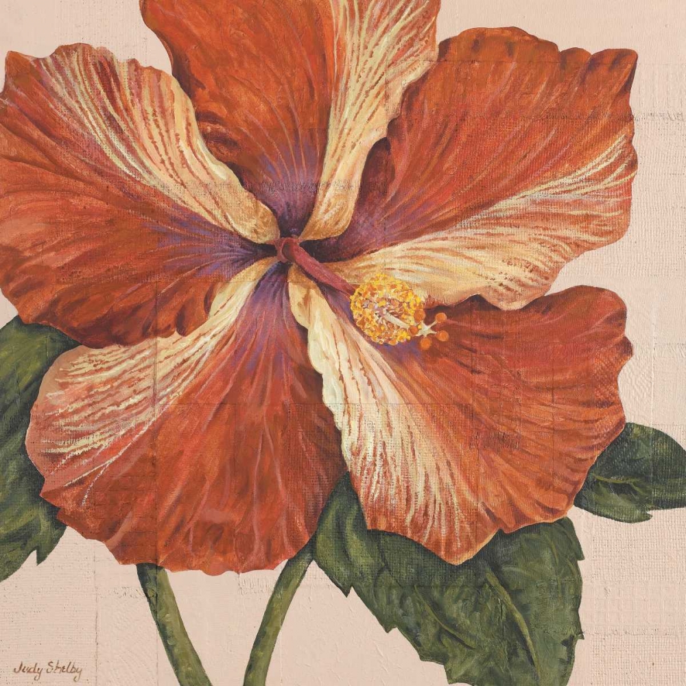 Island Hibiscus I art print by Judy Shelby for $57.95 CAD