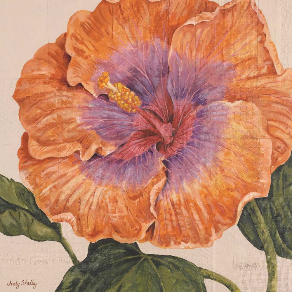 Island Hibiscus II art print by Judy Shelby for $57.95 CAD