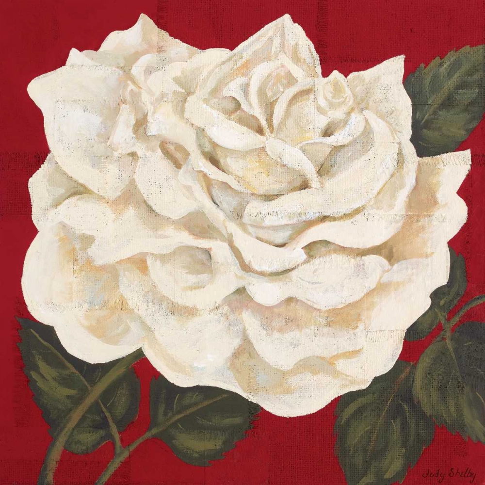 Rosa Blanca Grande I art print by Judy Shelby for $57.95 CAD